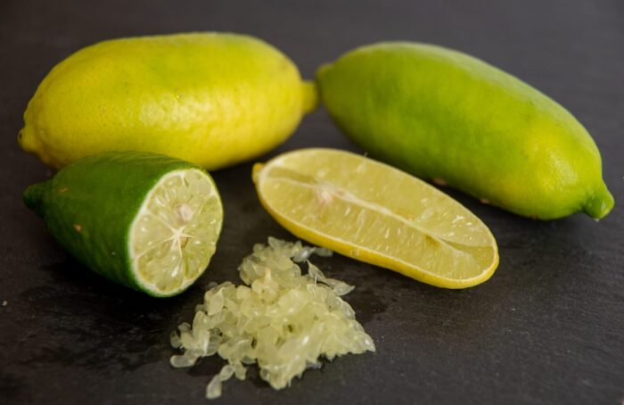 Graines de Citron Caviar Vert (Microcitrus australasica)