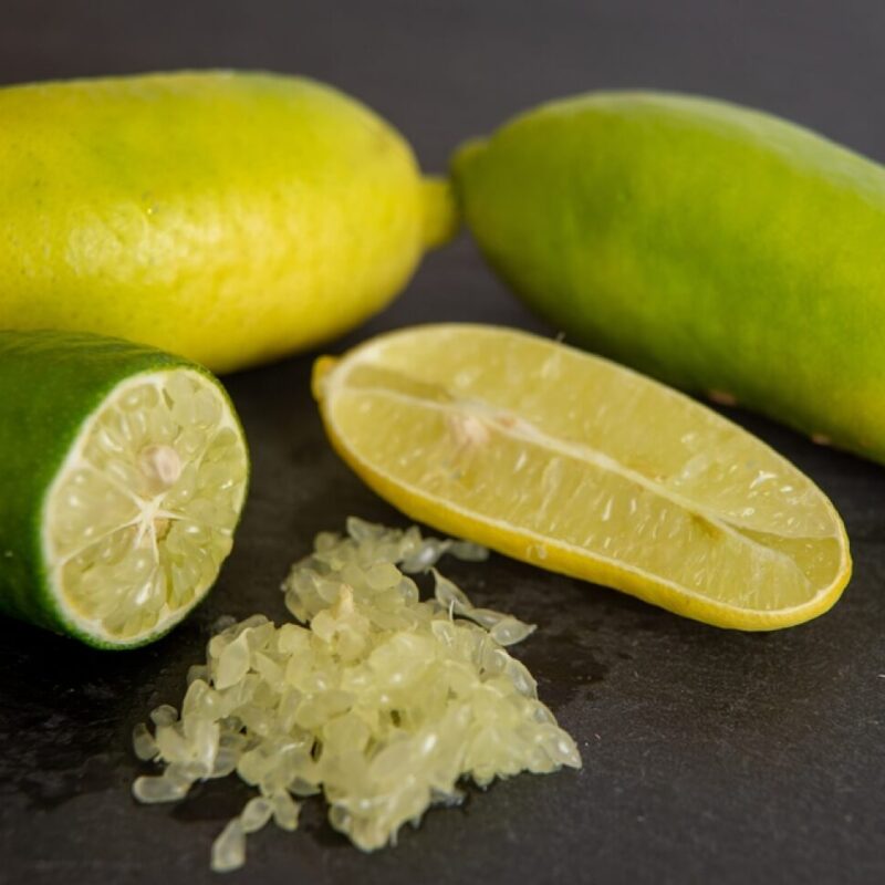 Graines de Citron Caviar Vert (Microcitrus australasica)