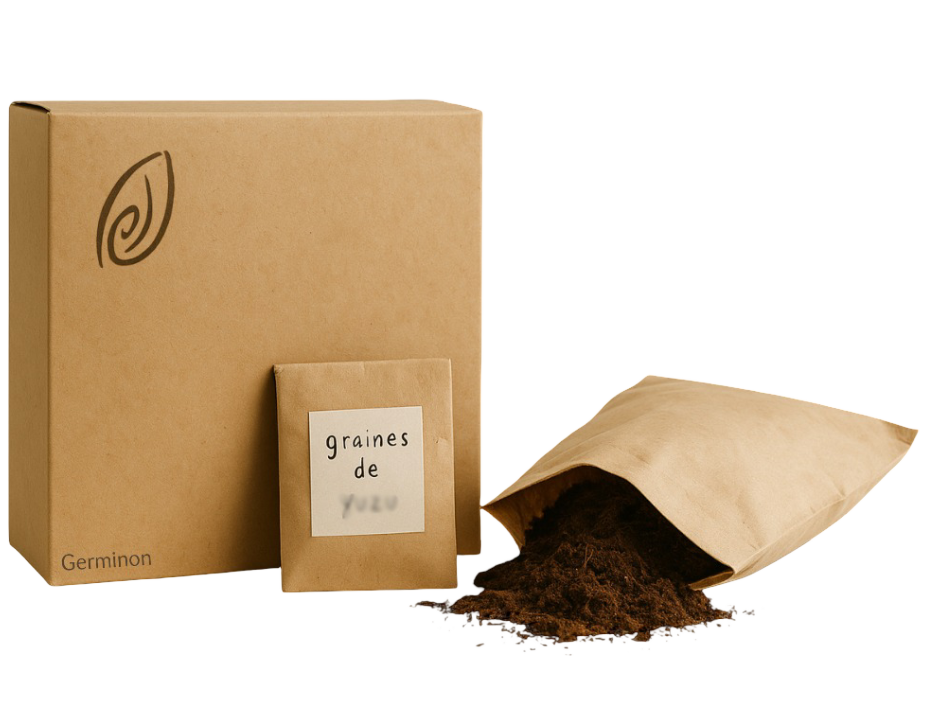 Kit germination